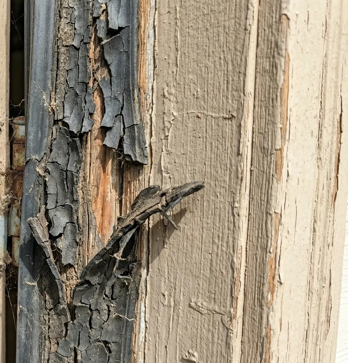 Worn garage door weatherstripping being replaced with new bottom seal